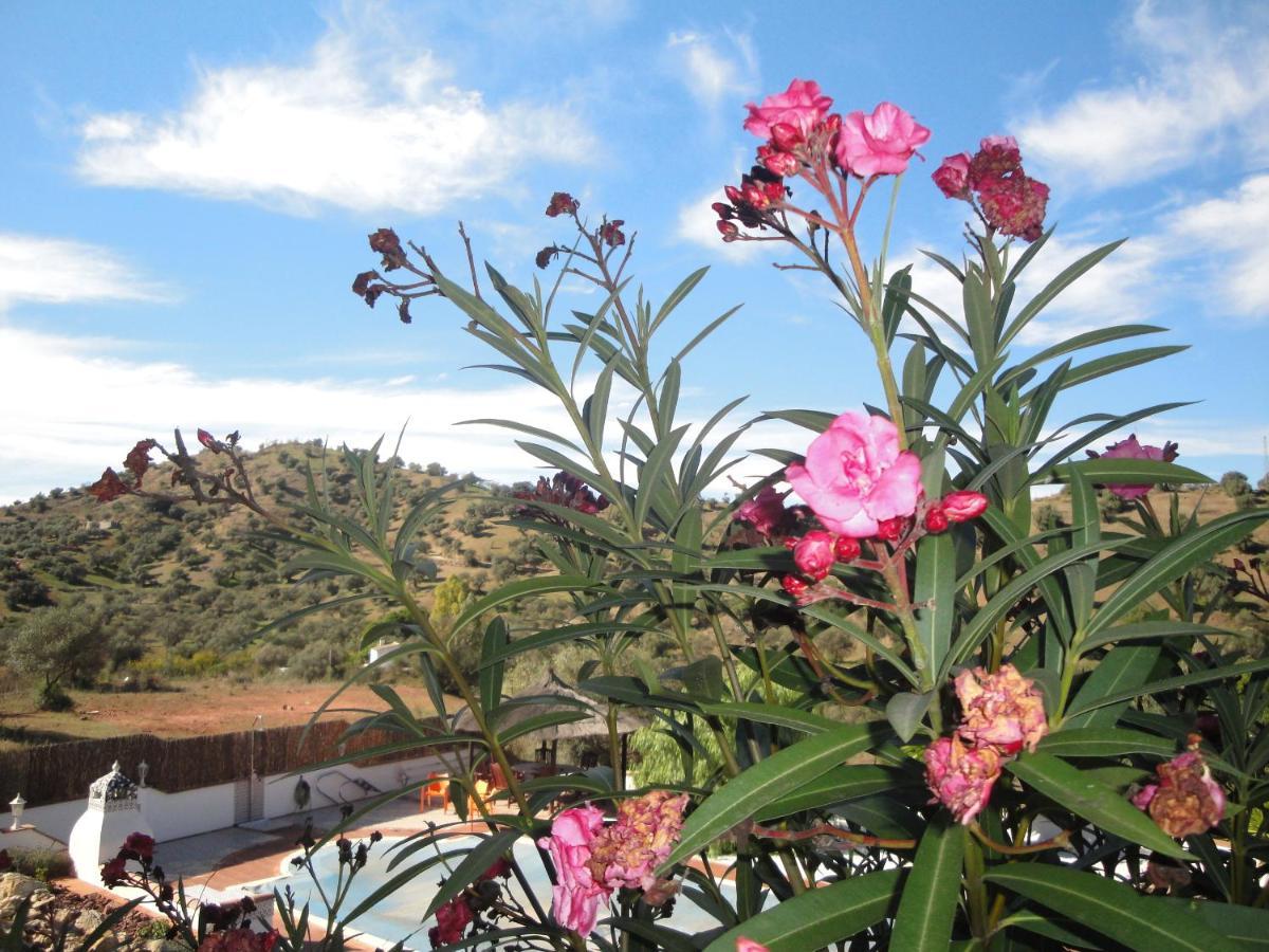 B&B Casa El Corasueno Almogía Eksteriør billede